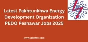 Latest Pakhtunkhwa Energy Development Organization PEDO Peshawar Jobs 2025